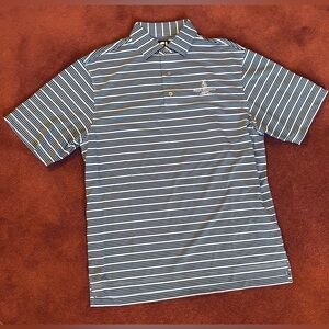 Four Seasons Costa Rica NWOT Men's Striped Polo Shirt - Blue and White